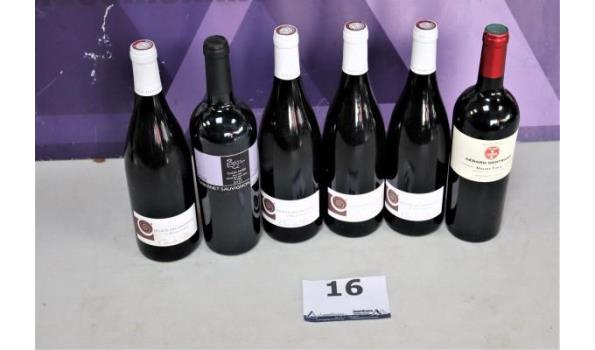 6 diverse flessen wijn